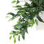 Nature's Elegance Faux Ruscus Plant in Ceramic Pot