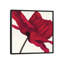 " Papaver I " by Yvonne Poelstra-Holzhaus-29483331-73651465-73651466