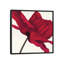 « papaver i », impression sur toile-29483331-73651465-73651466
