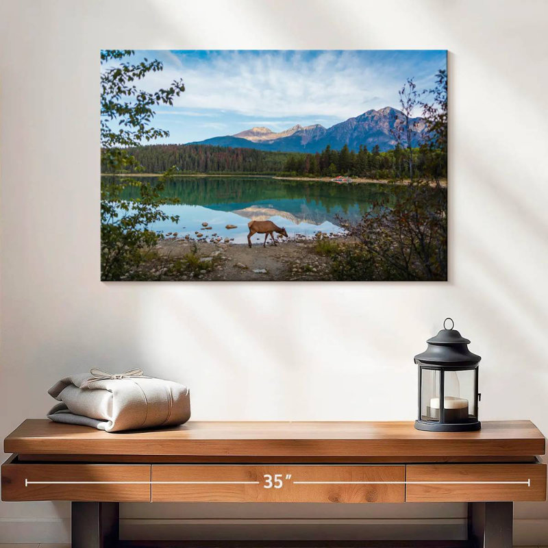 Orignal sauvage du parc Jasper, H 16 po x l 24 po
