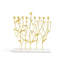 Wildflowers Menorah