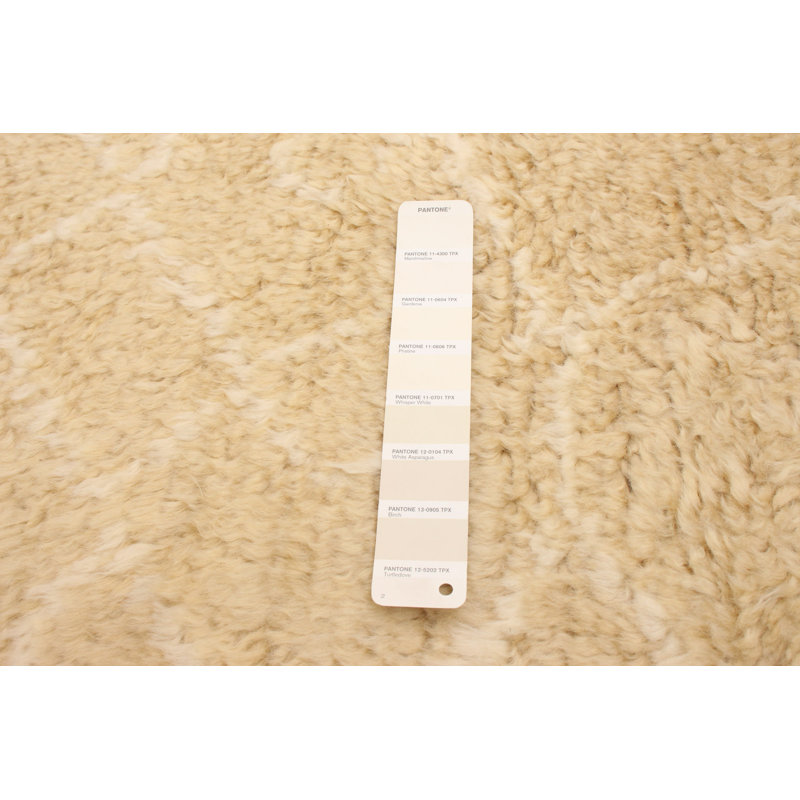 Tapis unique en laine noué à la main style indo nouvel âge beige 5 pi x 7 pi 6 po Grogan