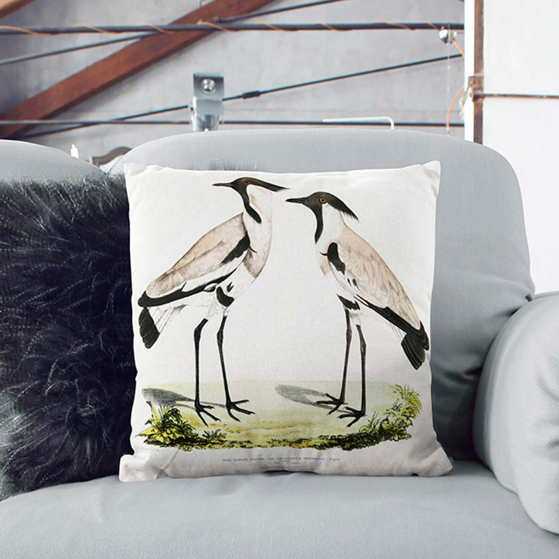 Illustration of Spur Winged Plover Birds by John Edward Gray Cushion with Filling, White, 40cm H x 40cm W x 15cm D