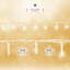 NETTA Fairy String Lights with Clear Cable and 8 Different Modes - 1000 LED / 50M Lit-Length