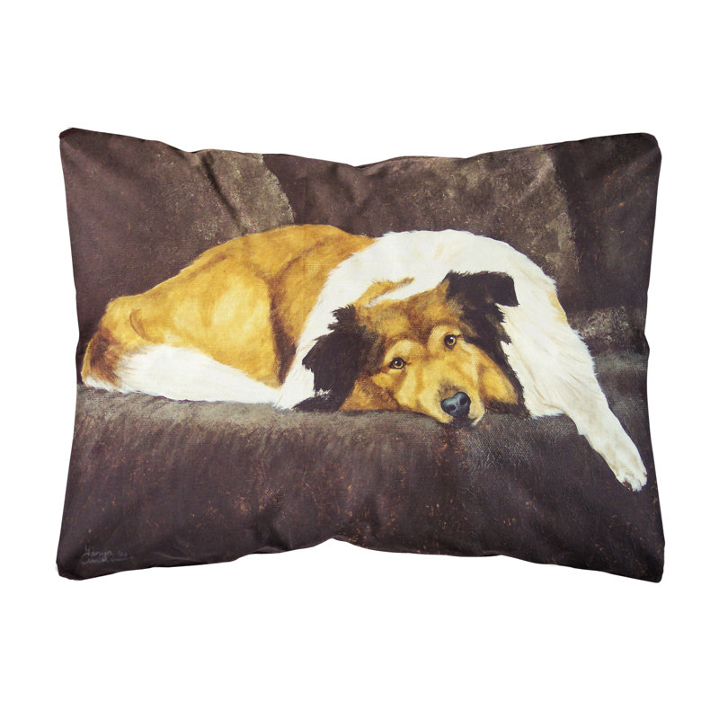  Coussin intérieur / extérieur en tissu Collie par Tanya and Craig Amberson