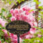 Rose Quote Oval Garden Lawn Plaque-237580193-237580201