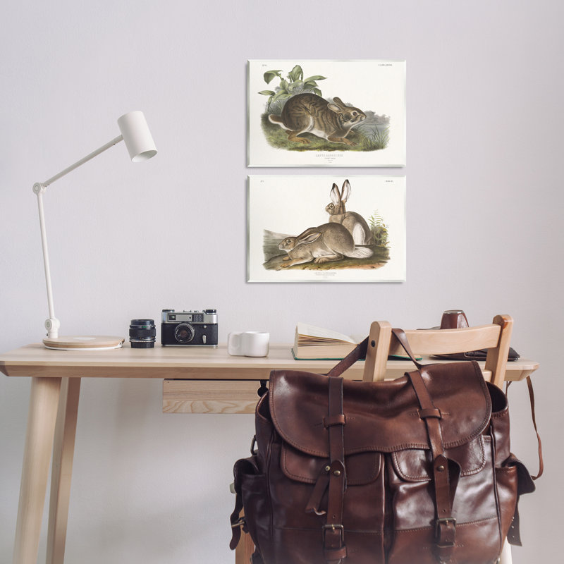 «Gentle Resting Cottage Rabbit», ensemble de 2 plaques murales par Wild Apple Portfolio, H 13 po x l 19 po