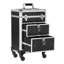 Trousse de train de maquillage en aluminium-100780096