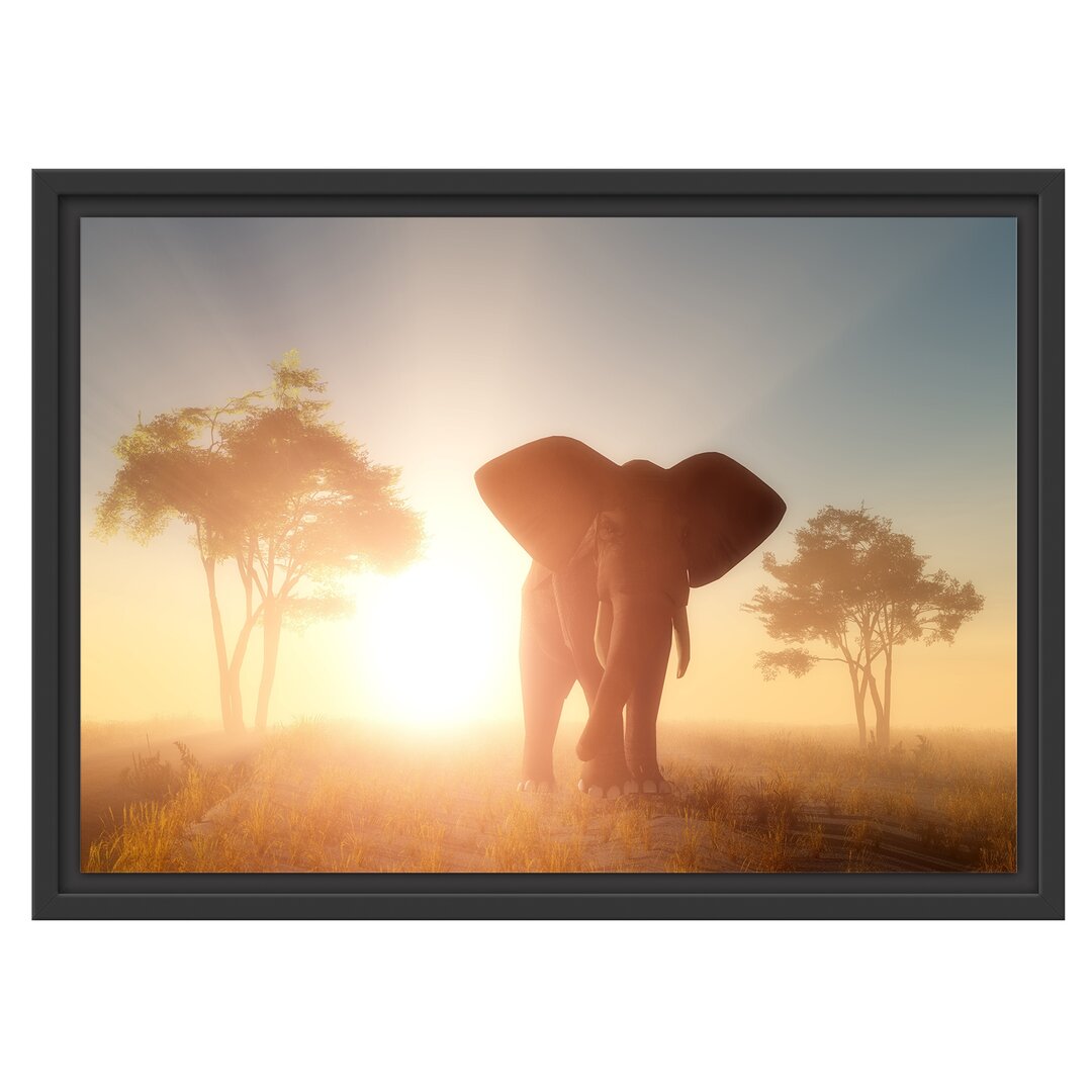 Elefant in der Wüste Floater Frame Graphic Art Print auf Papier