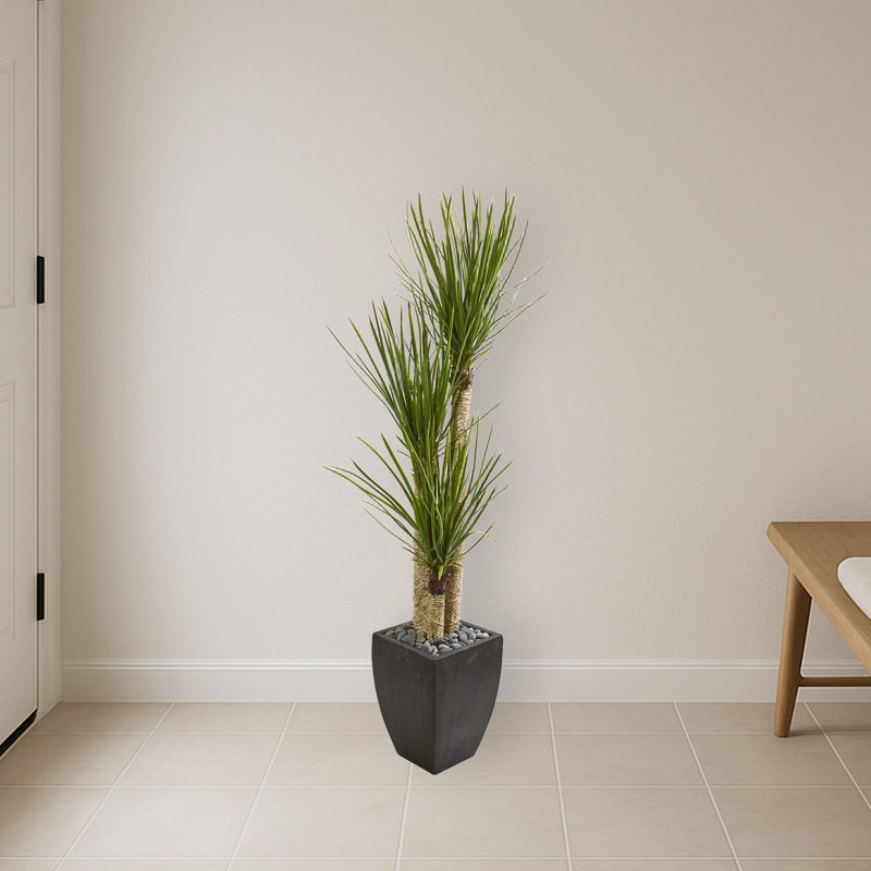 Yucca Artificial Tree in Black Planter