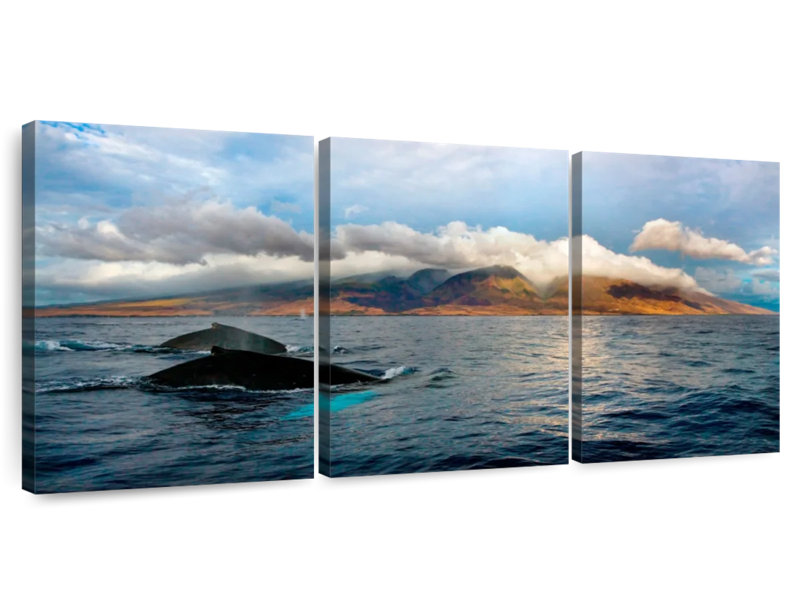 Baleines à bosse Senne Maui, H 15 po x l 32 po