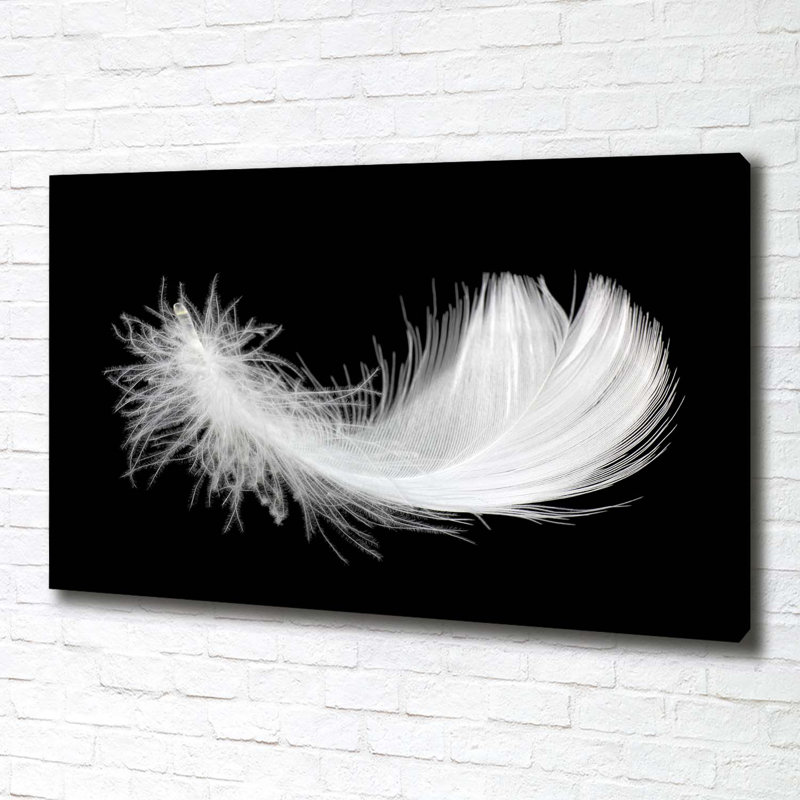 Feather - No Frame Print on Canvas