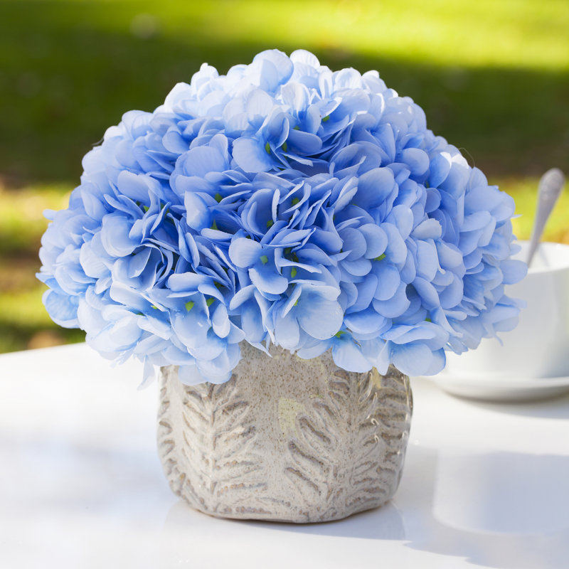 Arrangement floral d'hortensias en pot, Bleu