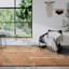  Kollektion 1906 Hand Crafted Hand Loomed Area Rug-109739433