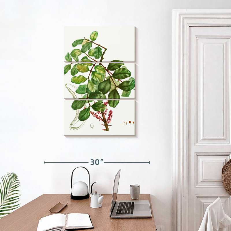 Keiri Carob Tree, 32" H x 20" W