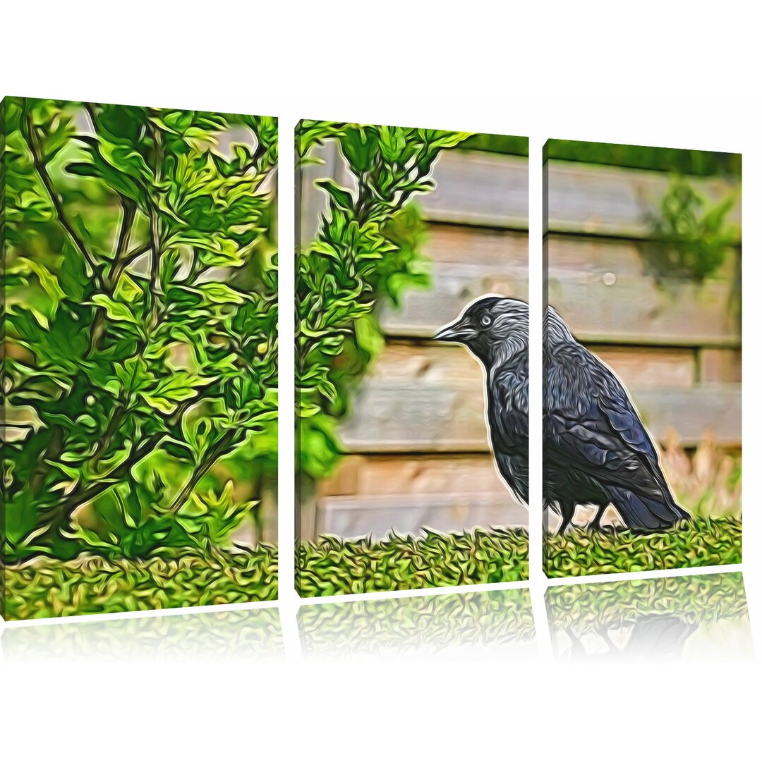 3-tlg. Leinwandbilder-Set „Schöner schwarzer Vogel auf Gartenwiese“, Grafikdruck