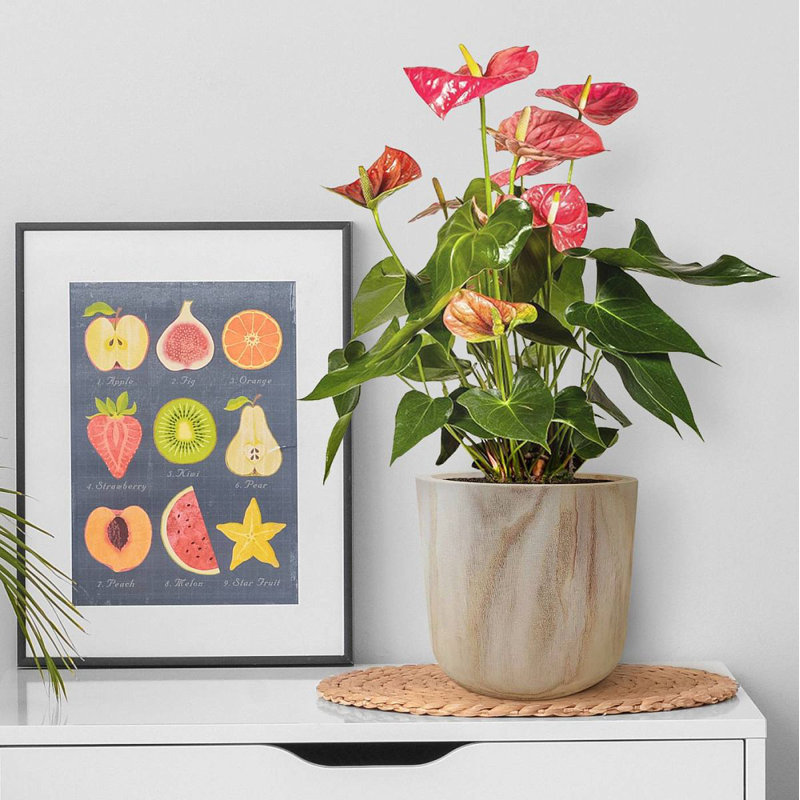 CRAFT Round Indoor Plant Pot for House Plants with Waterproof Liner | Natural Wooden House Planter, 24cm H x 27cm W x 27cm D