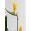 190Cm Artificial Bird of Paradise Plant in Pot