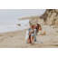 Couverture Oceanside Beach-198005623
