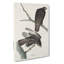 Two Hawks by John Audubon - Wrapped Canvas Painting-55361440