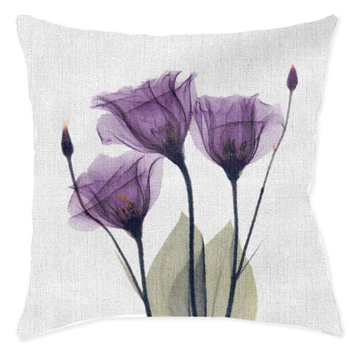  Coussin Gentian Hope