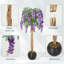 Plant-520078794