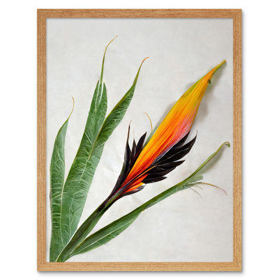 Bird Of Paradise Tropical Plant Flower Leaves - Print