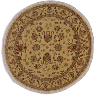 Baccio Wool Oriental Indoor Rug