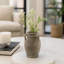 Ceramic/Porcelain Table Vase-1262517995-1262517992