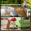 Grattoir à champignon, grattoir à champignon avec corde en sisal et boule suspendue interactive, poteau à griffes de 20 pouces pour chats d'intérieur et chatons