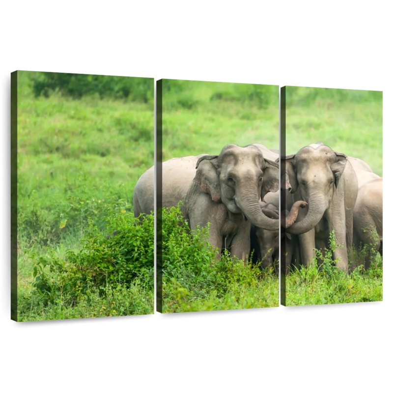 Brampt Asian Elephant Huddle, 24" H x 38" W