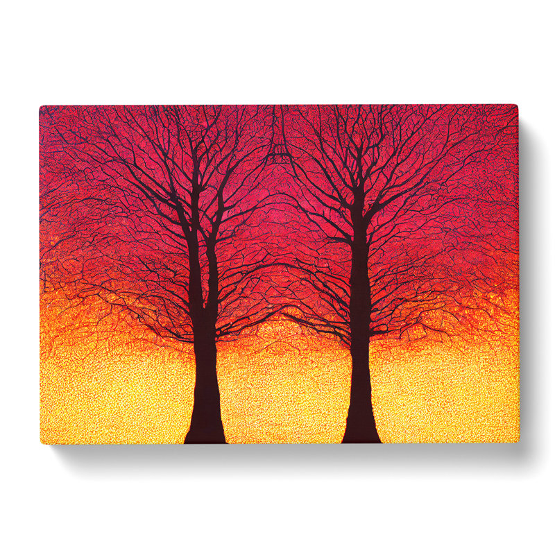 Astonishing Trees - Wrapped Canvas, 35cm H x 50cm W x 3cm D