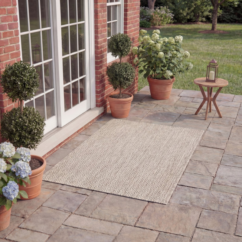 Sunaina Performance Solid Color Indoor/Outdoor Area Rug, Rectangle 2' x 3'7"