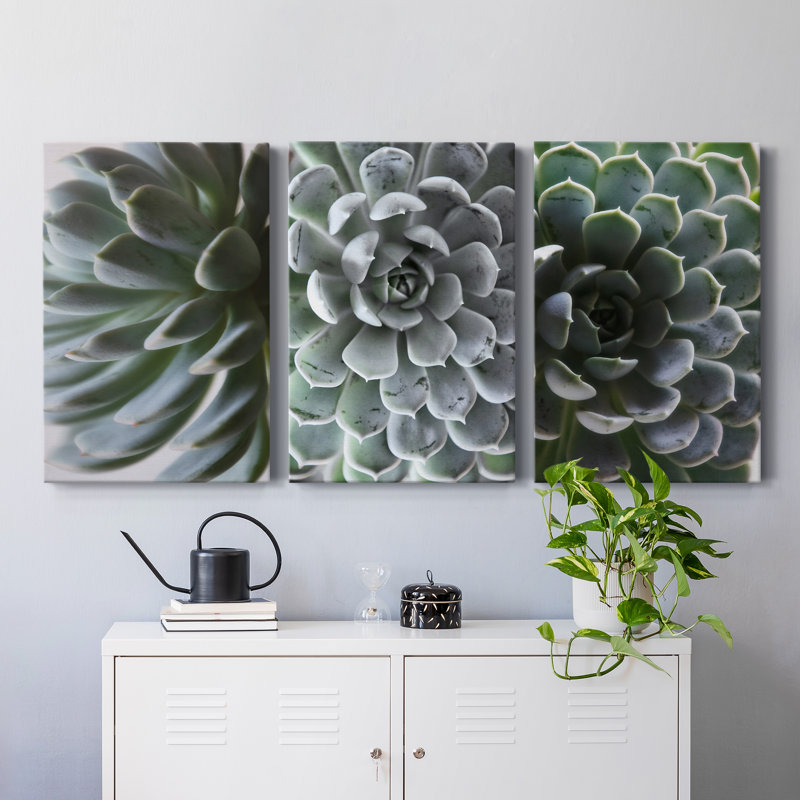 Zen Succulent I - Ensemble de 3 reproductions sur toiles tendues, H 36 po x l 72 po x P 1 po