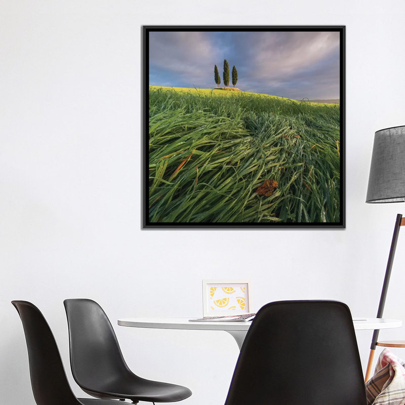 «Spring in Tuscany VI», impression sur toile, H 26 po x l 26 po x P 1,5 po, Toile encadrée noire, Pas de tapis