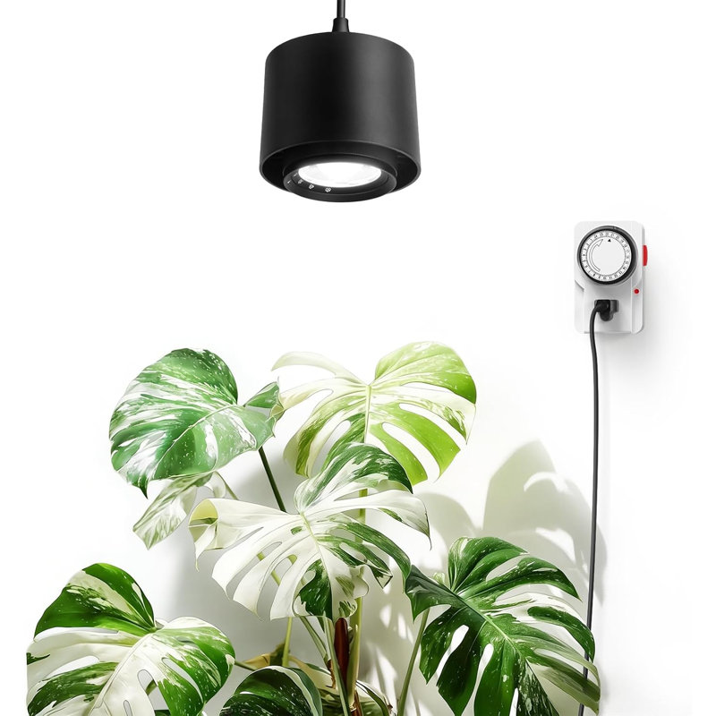 Éclairage de culture suspendu Barrina Tr40 pour plantes d'intérieur, 40w 5000k à spectre complet, angle de faisceau réglable (15 ° -60 °), Ppfd élevé, projecteur de culture avec minuterie pour la culture en intérieur, grande plante haute, fleurs