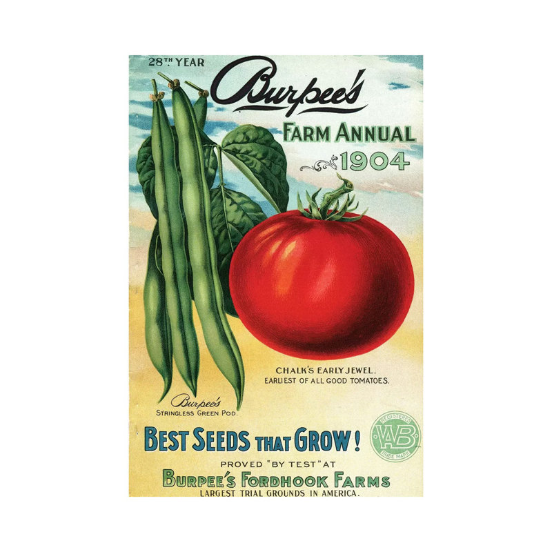 1904 Seed Catalog from the Andersen Horticultural Library by Piddix - Wrapped Canvas Graphic Art, 66.04 cm H x 45.72 cm W