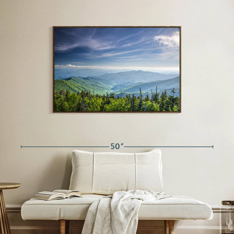 Clingmans Dome, paysage de montagne, Cadre flottant en noyer, 40 po x 27 po