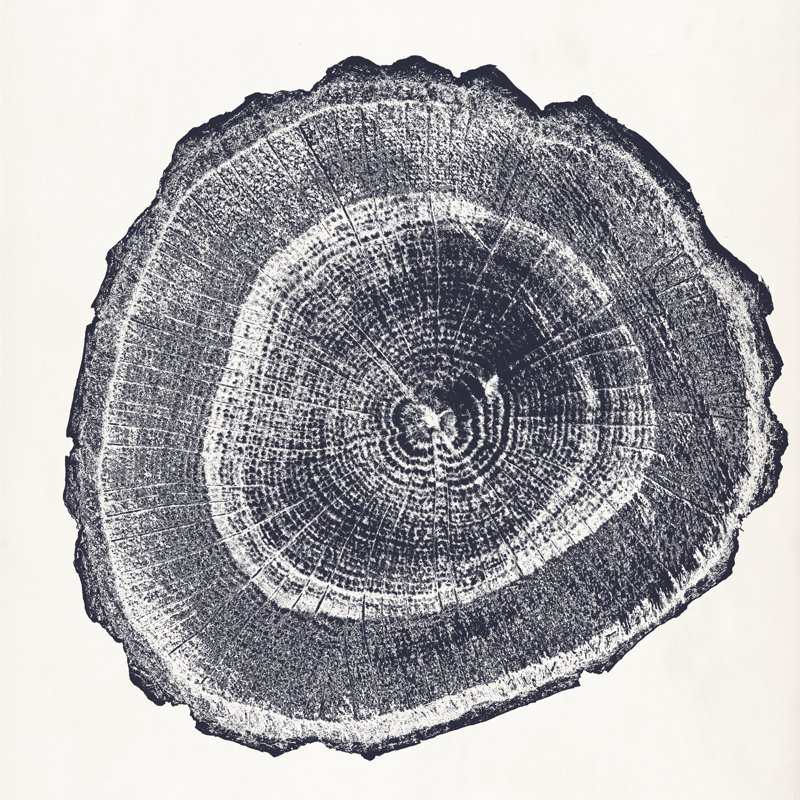 Anneau d'arbre III, H 12 po x l 12 po x P 1,25 po