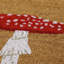 Non-Slip Doormat