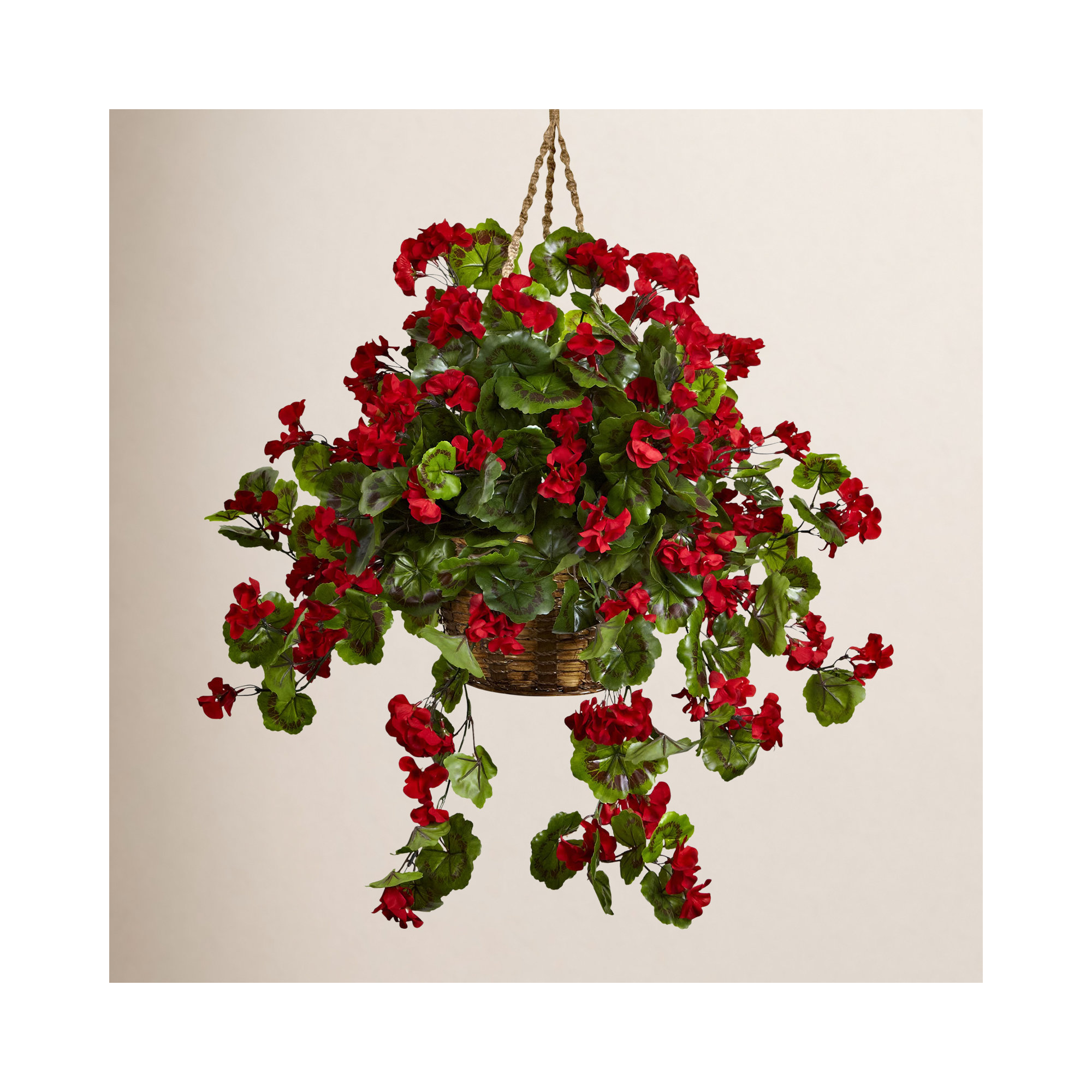 Geranium Hanging Basket UV Resistant (Indoor/Outdoor), Red Green