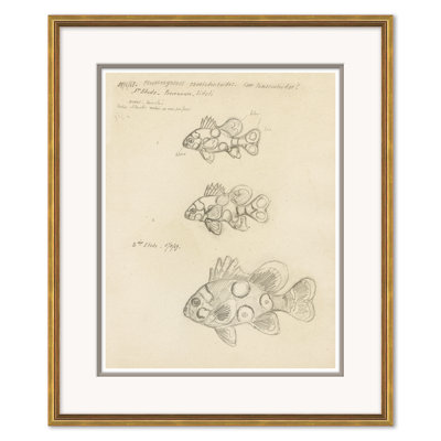 Odd Fish Giclee Print by Marcel Bourgeois