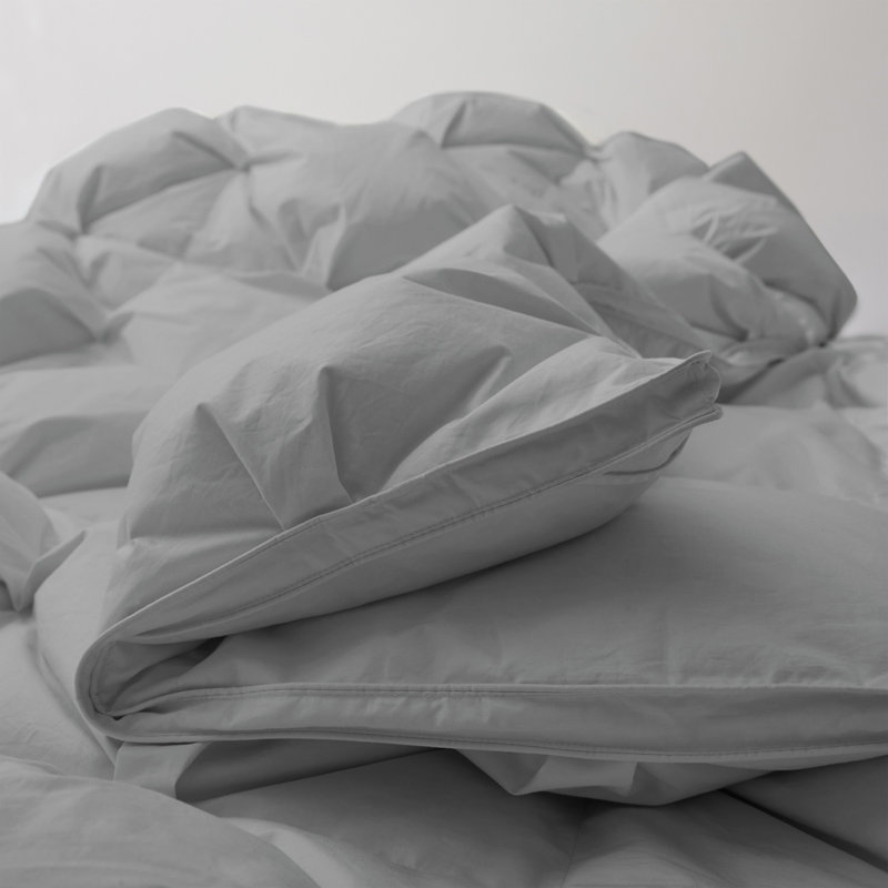 Édredon toutes saisons 90% duvet et tissu de coton biologique 300 fils, Gris, Lit simple