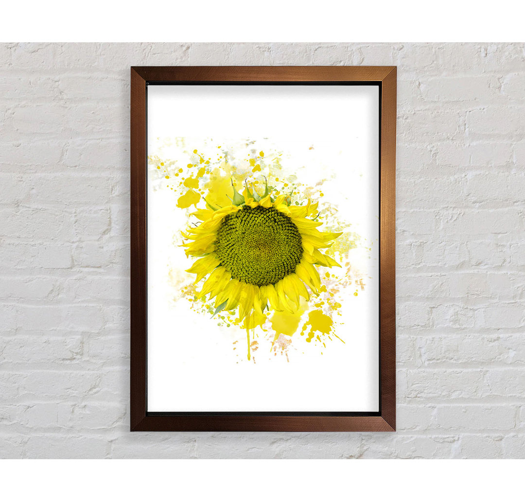 Sonnenblume Splash 2 - Druck