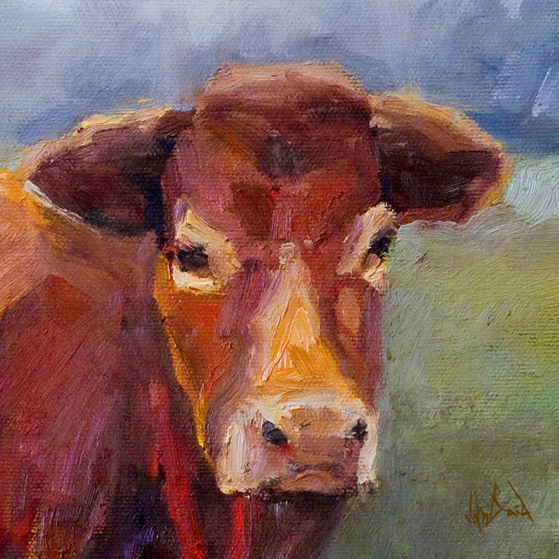 Moo Moo I - Artist Enhanced Canvas Print, White Floater Framed