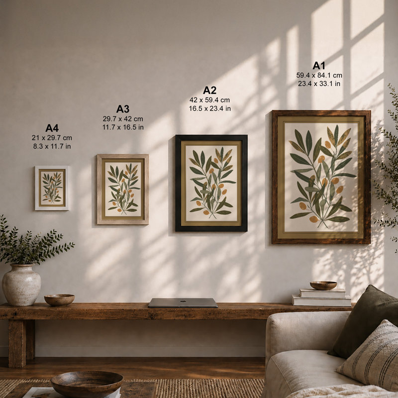 Study Plant Botanical - Framed Print, A1 - 84.1 x 59.4 cm, White