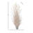 48" Uv Potted Autumn Fountain Plume Grass-213818882