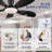 48"ceiling Fans With Lights