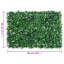 Lawn Edging Fencing-219948412