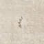 Serein Oriental Area Rug-1539043224